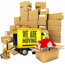 Domestic & Relocation Services